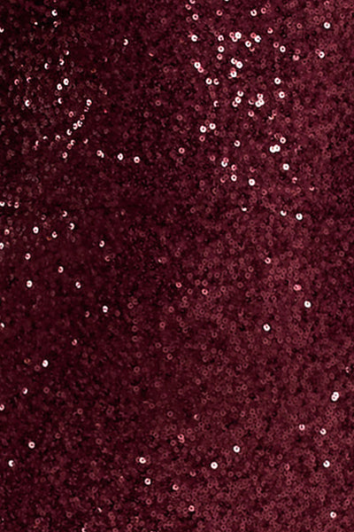 Kaelin | Berry Sequin Plunge-Neck Maxi Dress